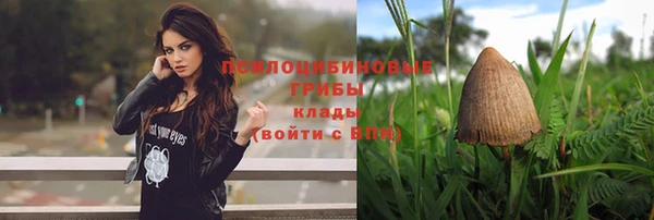 круглые Бронницы