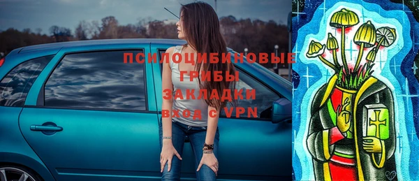 круглые Бронницы